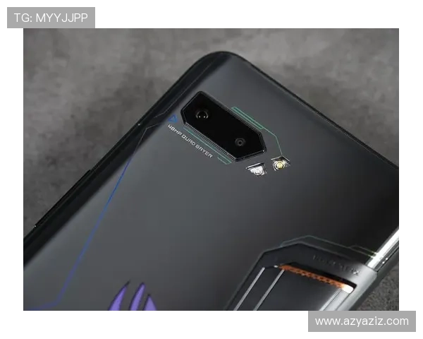 尊龙凯时登陆入口稳定性分析及优化建议确保顺畅游戏体验